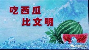 娱乐吃瓜酱广告语大全,广告语大全中的趣味盘点